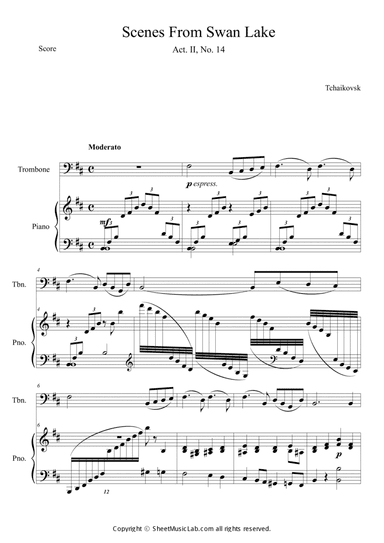 Scene From Swan Lake