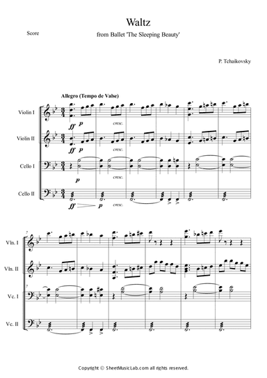 Waltz from Sleeping Beauty