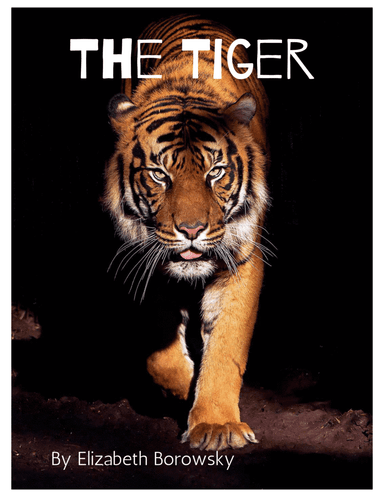 The Tiger