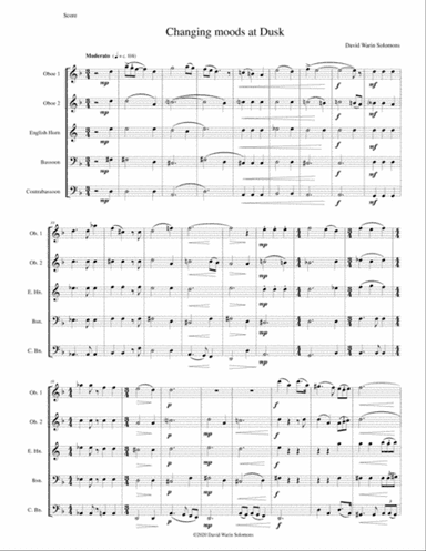 Changing moods at dusk for double-reed quintet (2 oboes, cor anglais, bassoon, contrabassoon)
