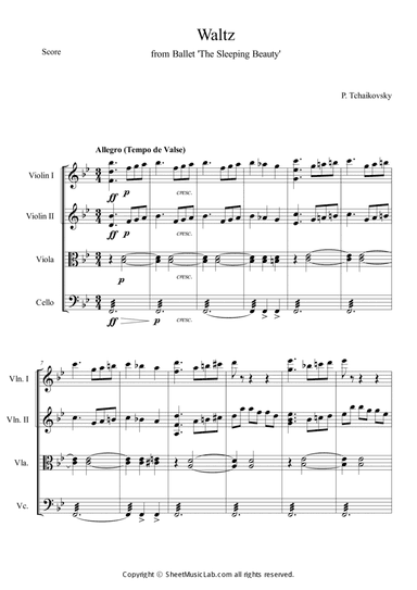 Waltz from Sleeping Beauty