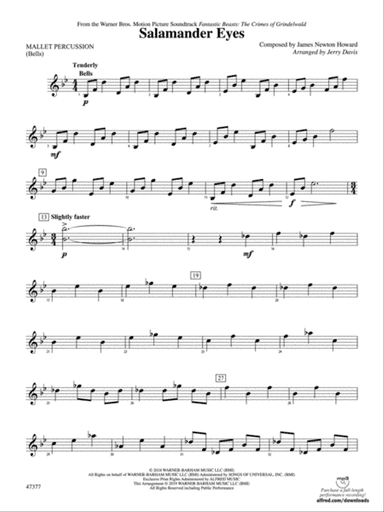 Salamander Eyes: Mallets