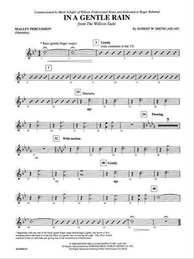 In a Gentle Rain: Mallets