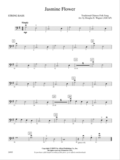 Jasmine Flower: String Bass