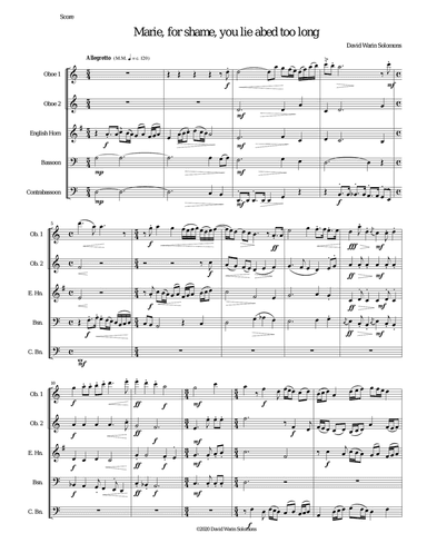 Marie for shame you lie abed too long for double-reed quintet