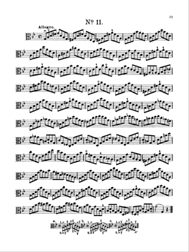 Hofmann: First Studies, Op. 86