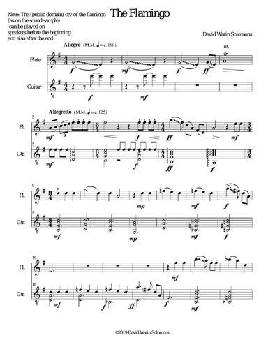 The flamingo (flute and guitar and optional sample)