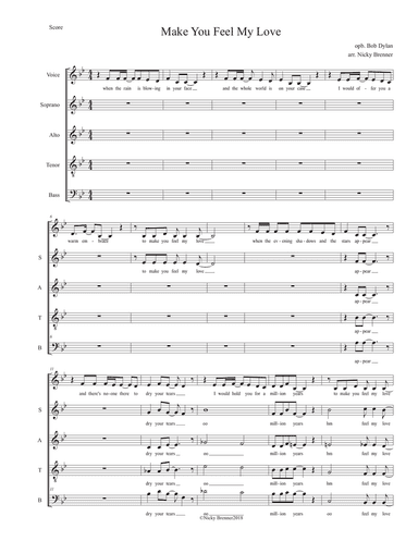 Make You Feel My Love