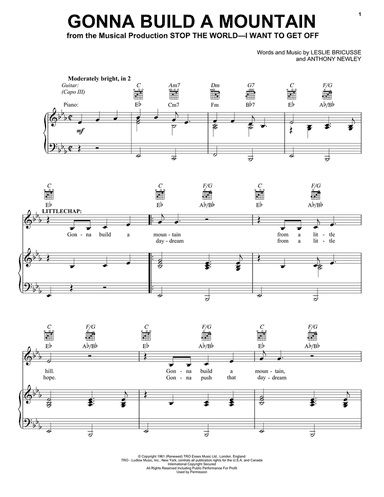 Gonna Build A Mountain