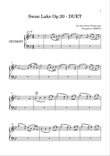Swan Lake Op.20 - STUDENT PART