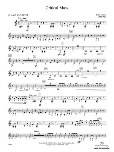 Critical Mass: B-flat Bass Clarinet