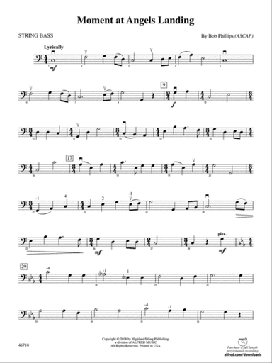 Moment at Angels Landing: String Bass