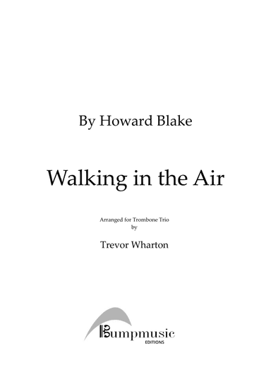 Walking In The Air