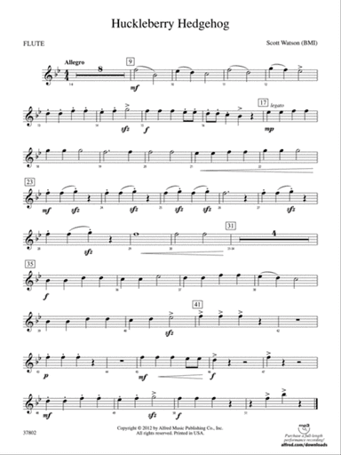 Huckleberry Hedgehog: Flute