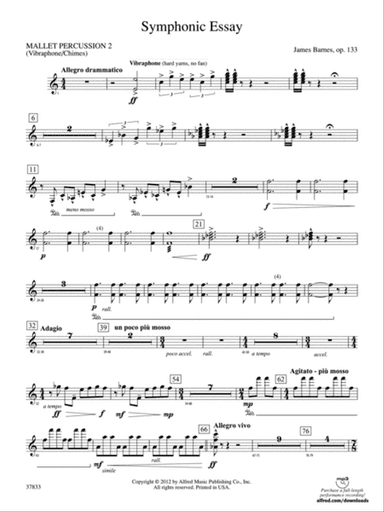 Symphonic Essay: 2nd Mallet Percussion