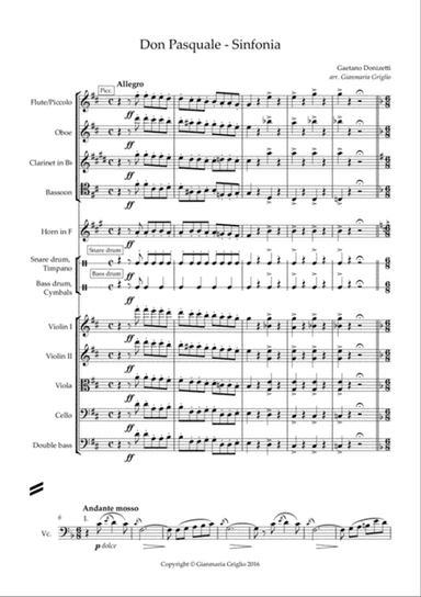 Don Pasquale - Sinfonia - arr. chamber orchestra