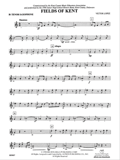 Fields of Kent: B-flat Tenor Saxophone