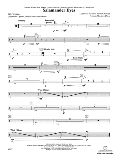 Salamander Eyes: 1st Percussion