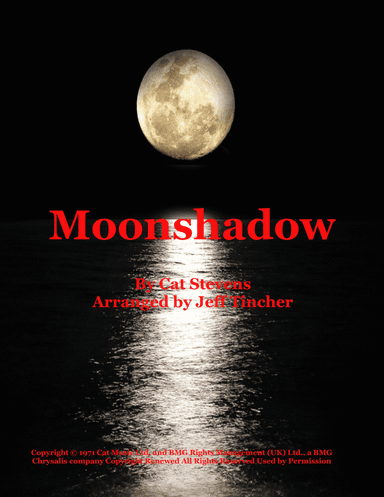 Moonshadow