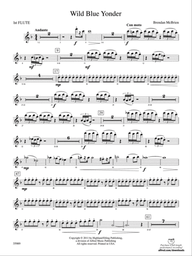 Wild Blue Yonder: Flute