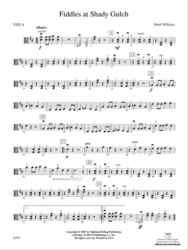 Fiddles at Shady Gulch: Viola