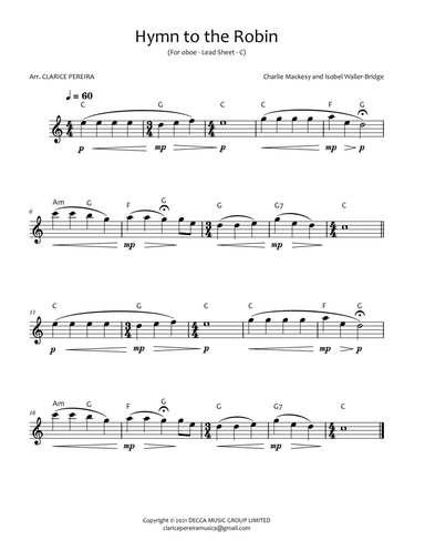 A Hymn For The Robin