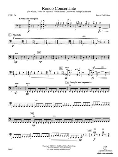 Rondo Concertante: Cello