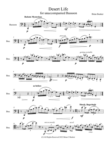 Desert Life (for Unaccompanied Bassoon)