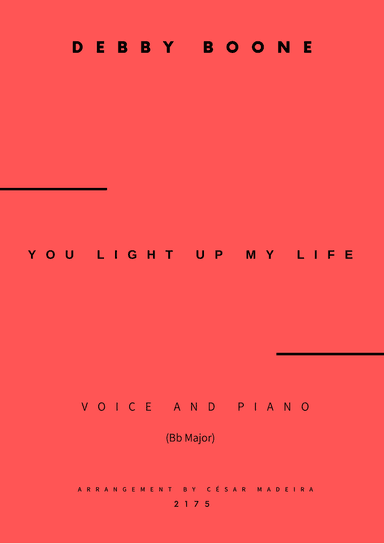 You Light Up My Life