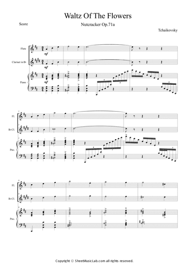 Nutcracker Op.71a Waltz of the Flowers
