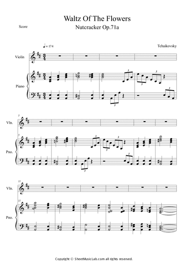 Nutcracker Op.71a - Waltz of the Flowers