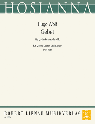 Gebet: Herr, schicke was du willt