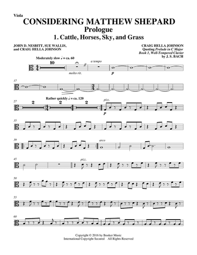 Considering Matthew Shepard - Viola