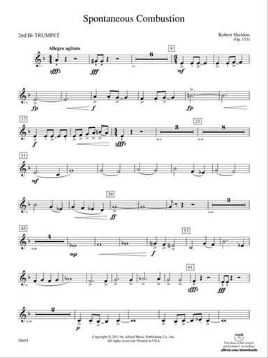 Spontaneous Combustion: 2nd B-flat Trumpet