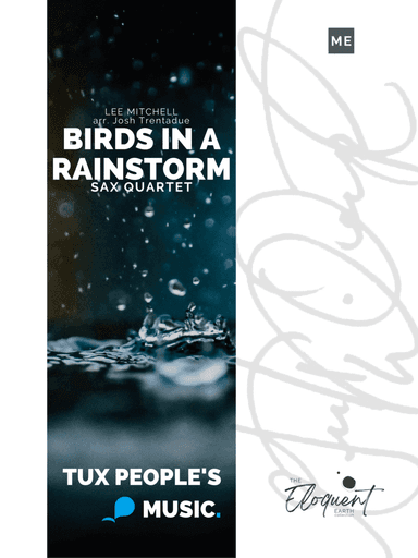 Birds in a Rainstorm