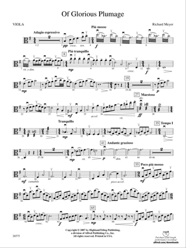 Of Glorious Plumage: Viola
