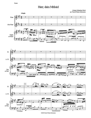 Herr dein Mitleid from the Christmas Oratorio - Weihnachtsoratorium flute, alto flute, keyboard