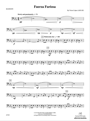 Fuerza Furiosa: Bassoon