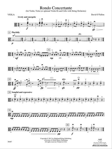 Rondo Concertante: Viola