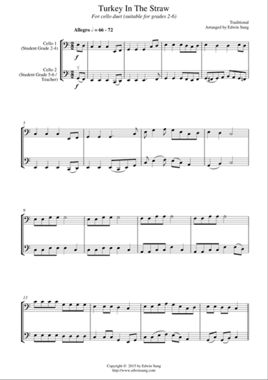 Turkey In The Straw (for cello duet, suitable for grades 2-6)