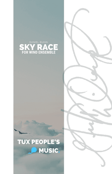 Sky Race