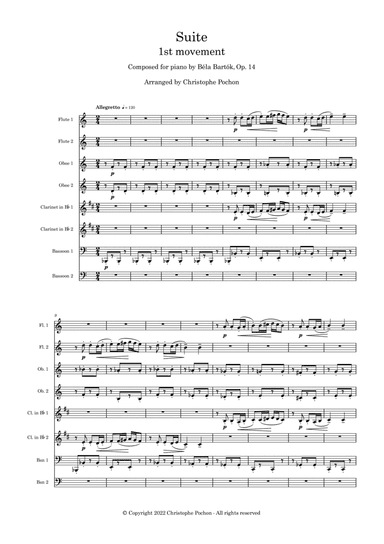 Suite - Op. 14 - 1st movement - Woodwind Ensemble