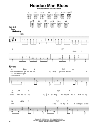 Hoodoo Man Blues