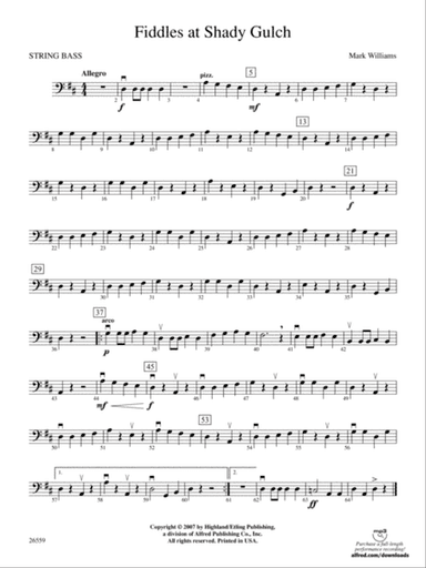 Fiddles at Shady Gulch: String Bass