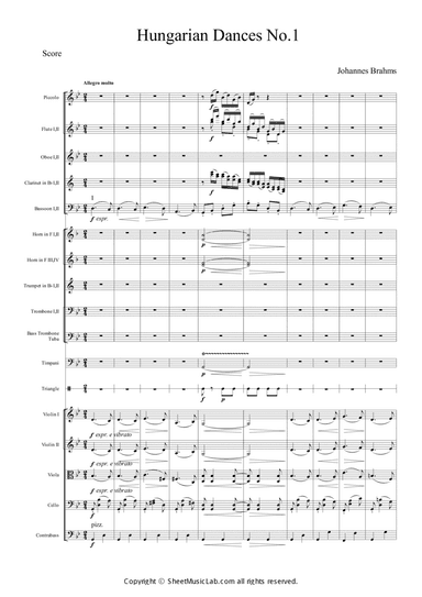 Hungarian Dances No.1 in G minor, Allegro molto