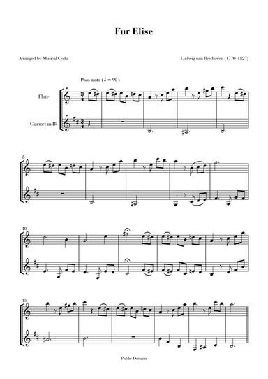 Fur Elise - Flute & Clarinet