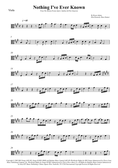 Nothing I've Ever Known