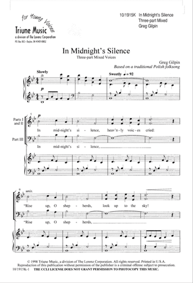 In Midnight's Silence
