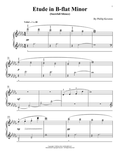 Etude In B-Flat Minor (Snowfall Silence)