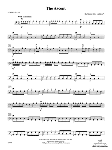 The Ascent: String Bass